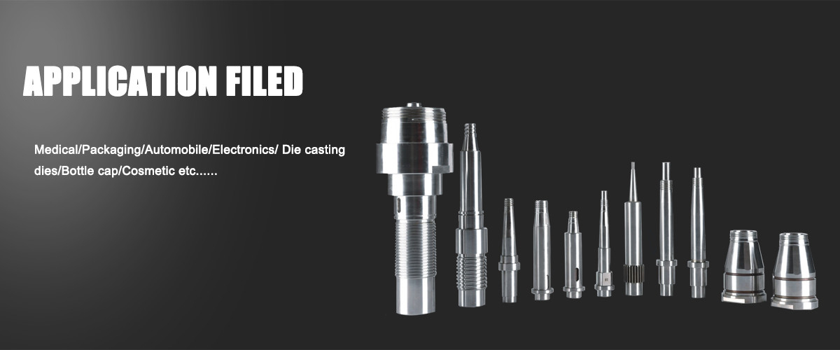 যথার্থ ছাঁচ উপাদান