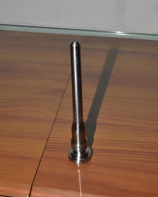 প্রসাধনী প্যাকেজিং ছাঁচ জন্য কাস্টম ছাঁচ কোর পিন