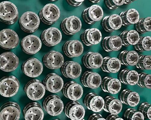 মাল্টি-গহ্বর ছাঁচ সন্নিবেশ।