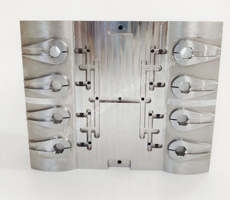 ক্ষয় প্রতিরোধী ছত্রাকের কোষ।