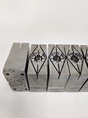 H13 (1.2344) যথার্থ ছাঁচ কোষ ইনজেকশন টুলিং জন্য কঠোর সন্নিবেশ